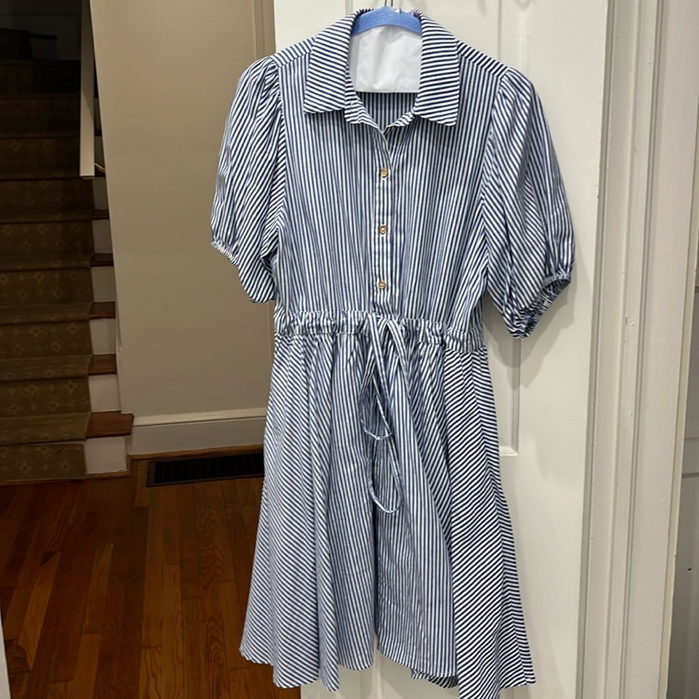 Duffield Lane navy stripe dress